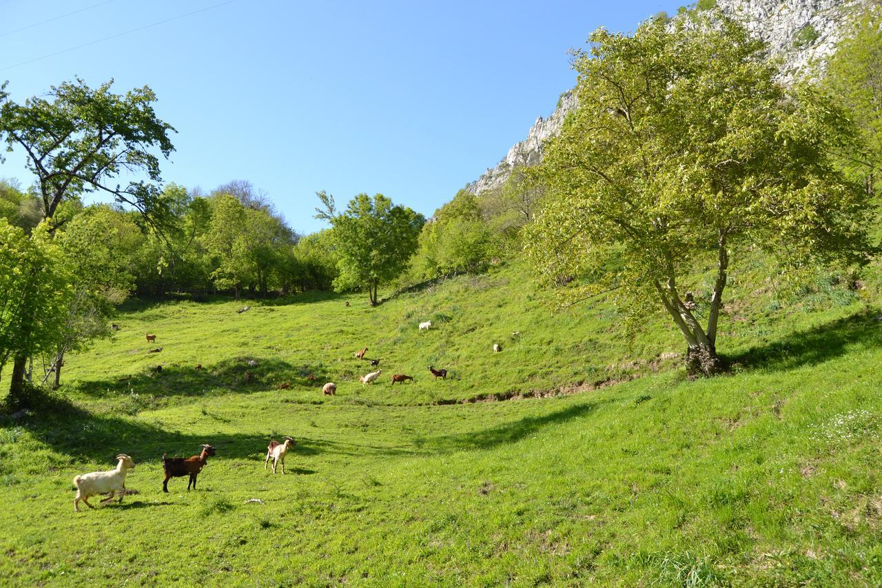 La Seronda De Redes Bueres Exteriér fotografie